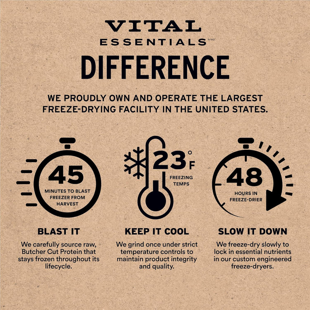 Vital Essentials Freeze-Dried Salmon Bites Dog Treats