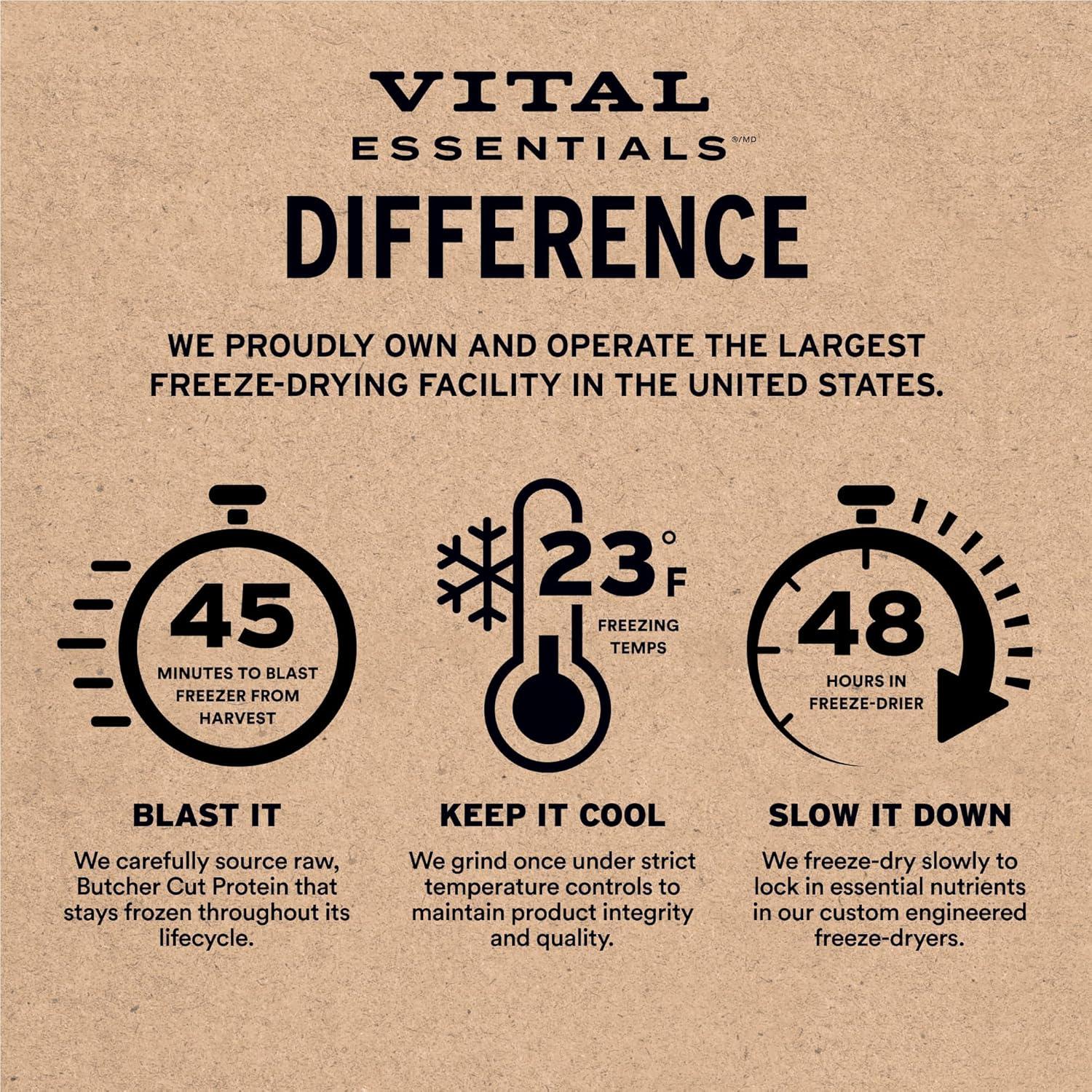 Vital Essentials Freeze-Dried Salmon Bites Dog Treats