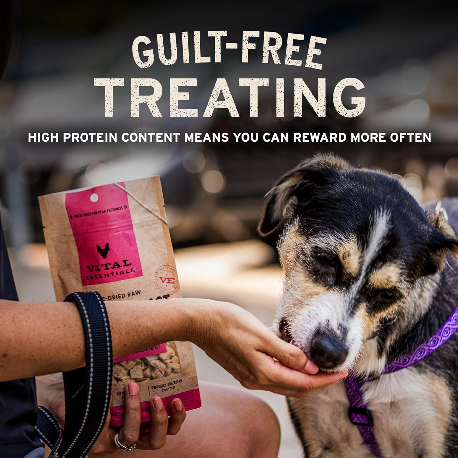 Vital Essentials Freeze-Dried Salmon Bites Dog Treats