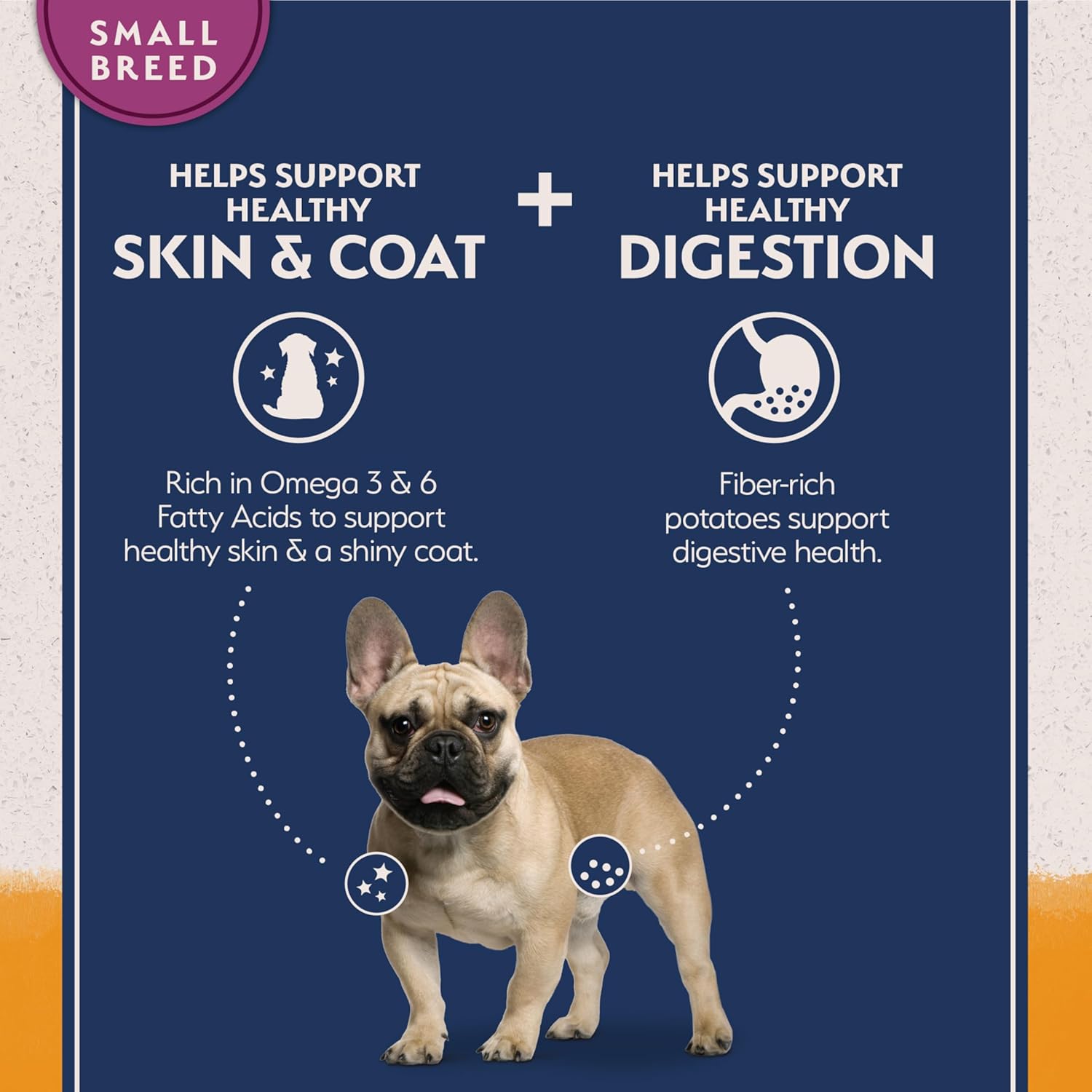 Natural Balance Limited Ingredient Duck & Potato Dry Dog Food