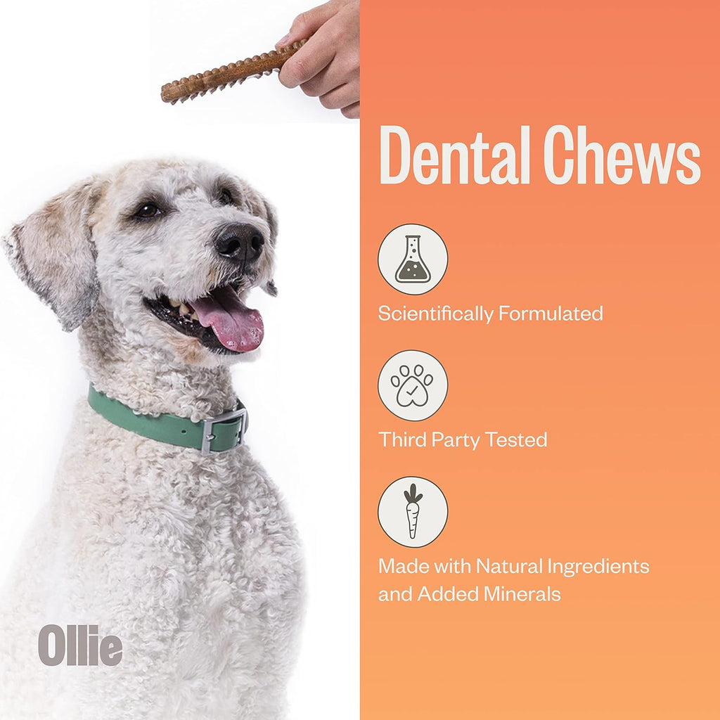 Ollie Dental Chews for Large Dogs