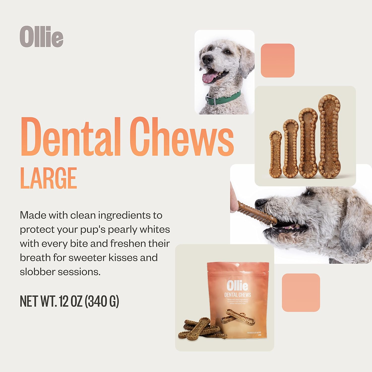 Ollie Dental Chews for Large Dogs