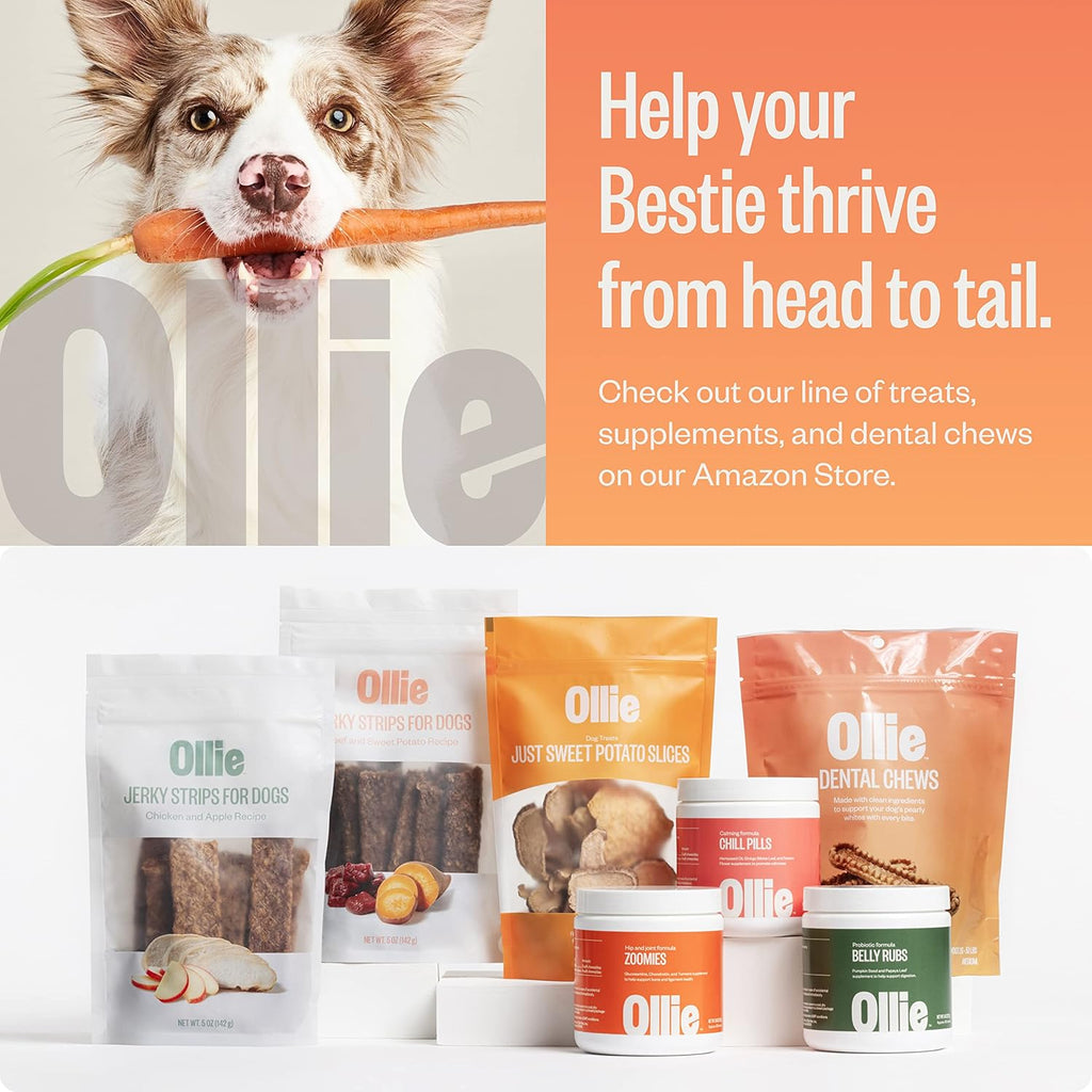 Ollie Dental Chews for Large Dogs