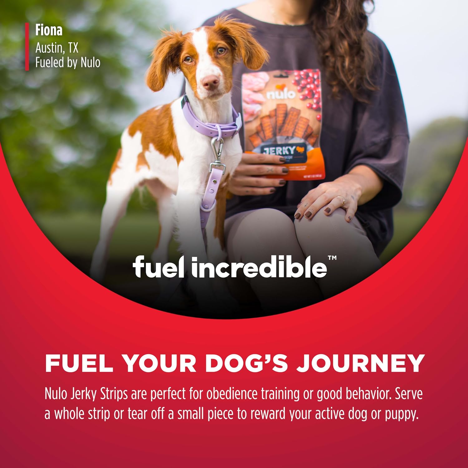 Nulo Premium Grain-Free Jerky Strips Dog Treats