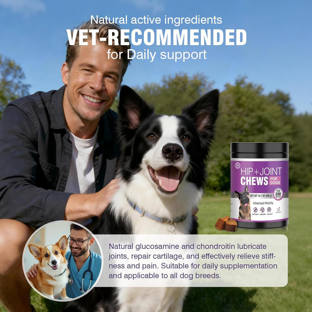 Glucosamine Joint Support Chews for Dogs