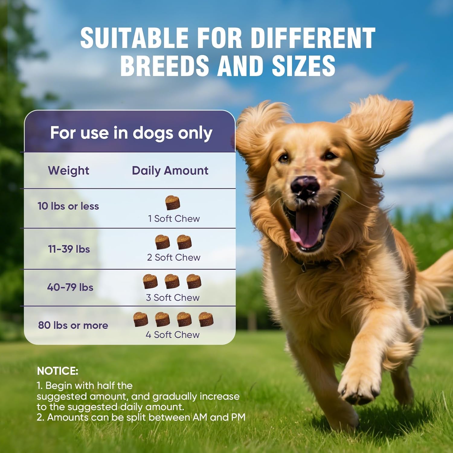 Glucosamine Joint Support Chews for Dogs