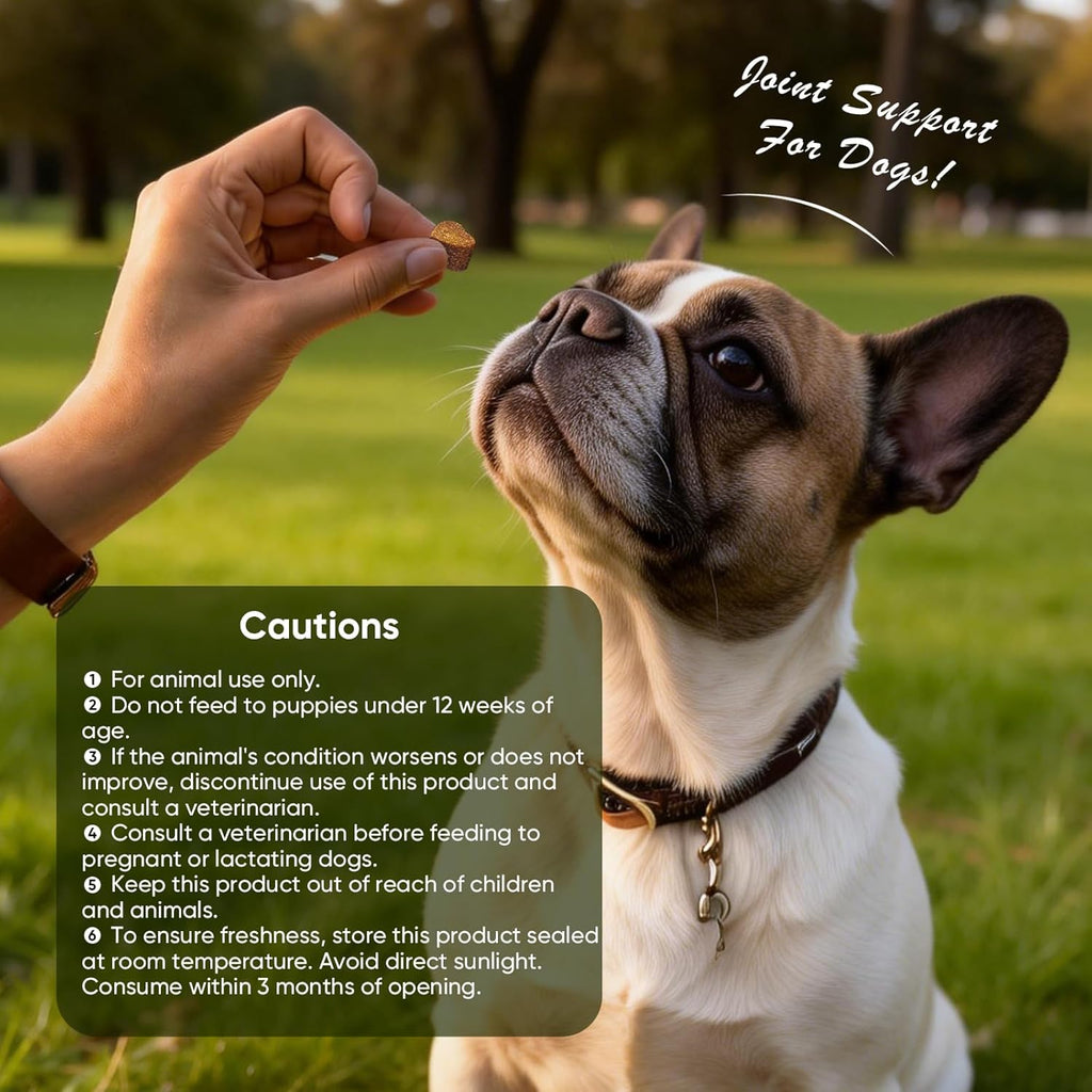 Glucosamine Joint Support Chews for Dogs