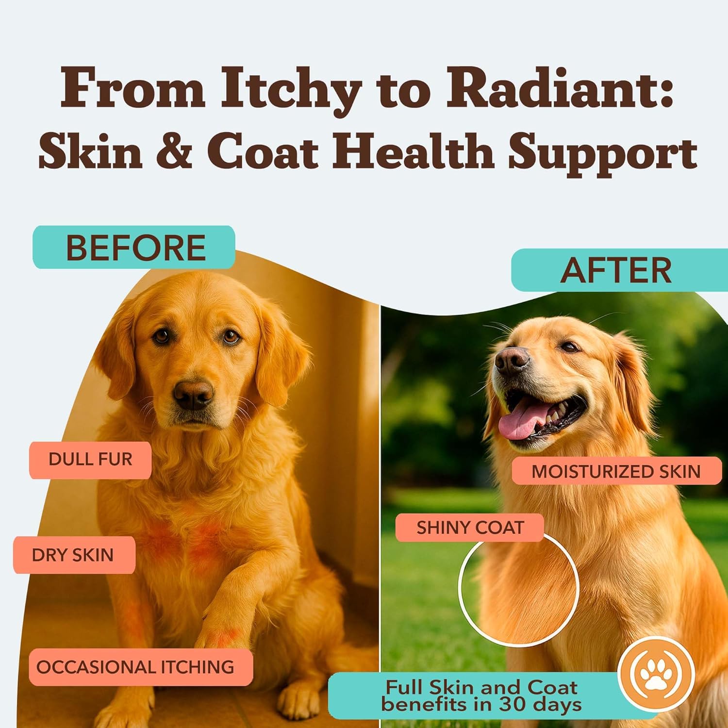Natural Dog Company Skin & Coat Supplement for Dogs
