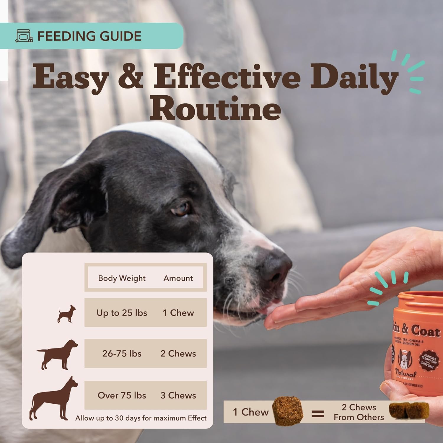 Natural Dog Company Skin & Coat Supplement for Dogs