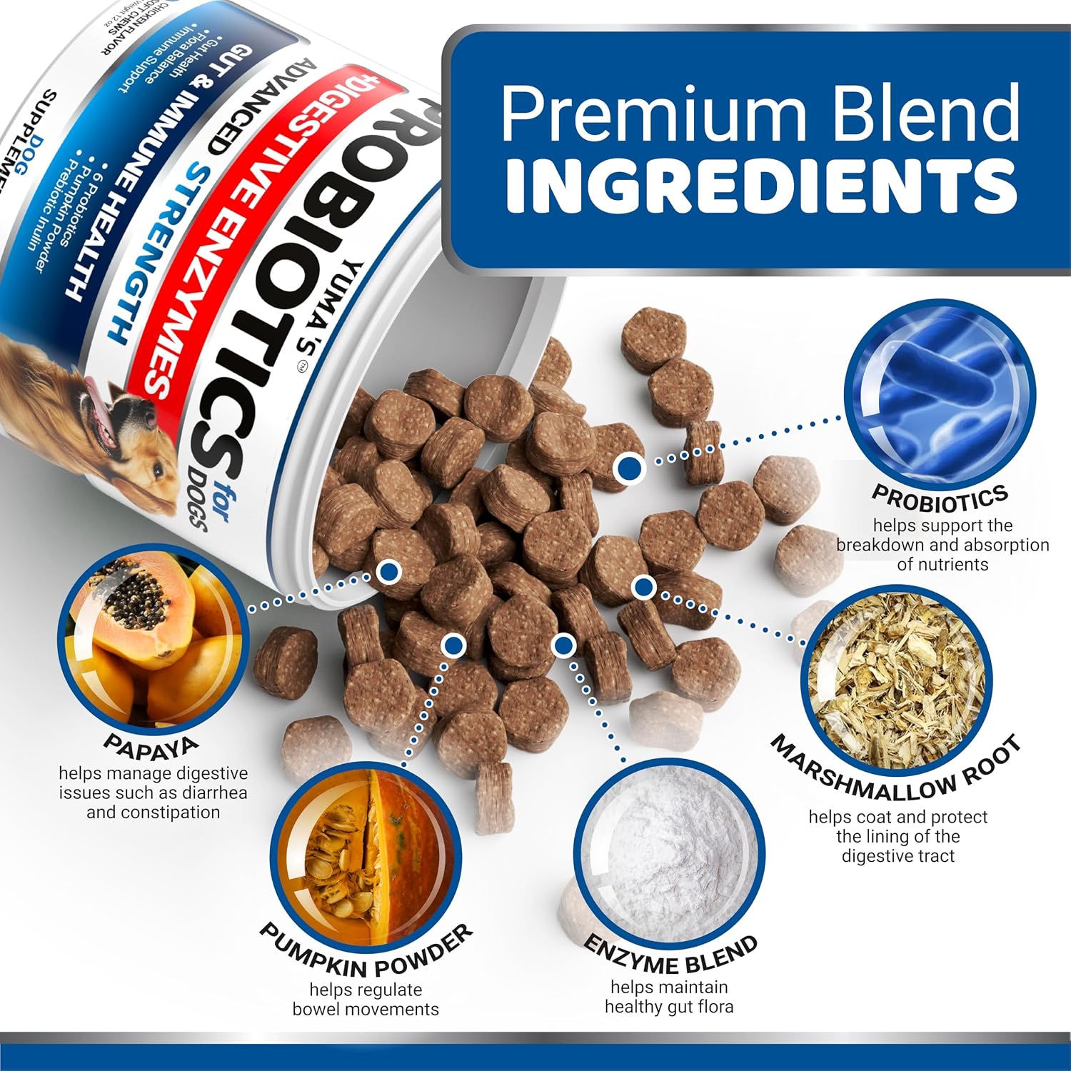 Probiotics & Digestive Enzymes Chews for Dogs