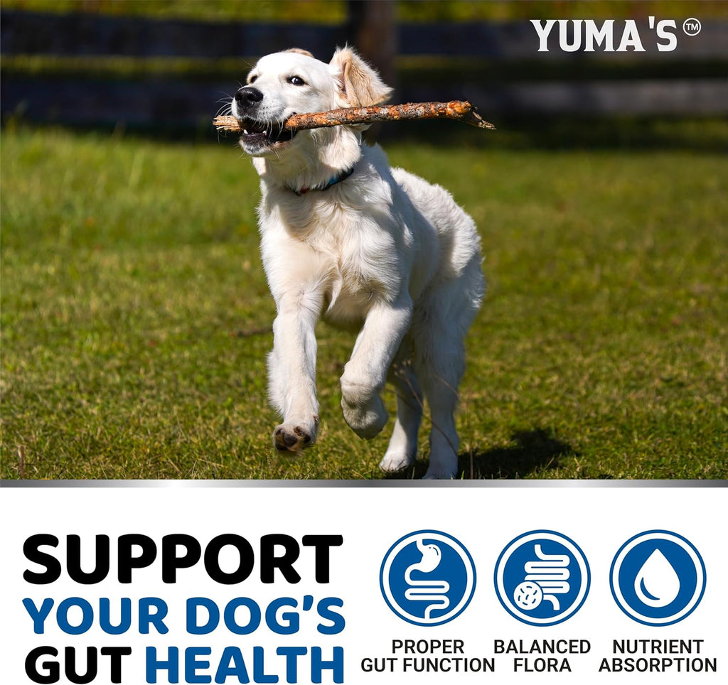 Probiotics & Digestive Enzymes Chews for Dogs