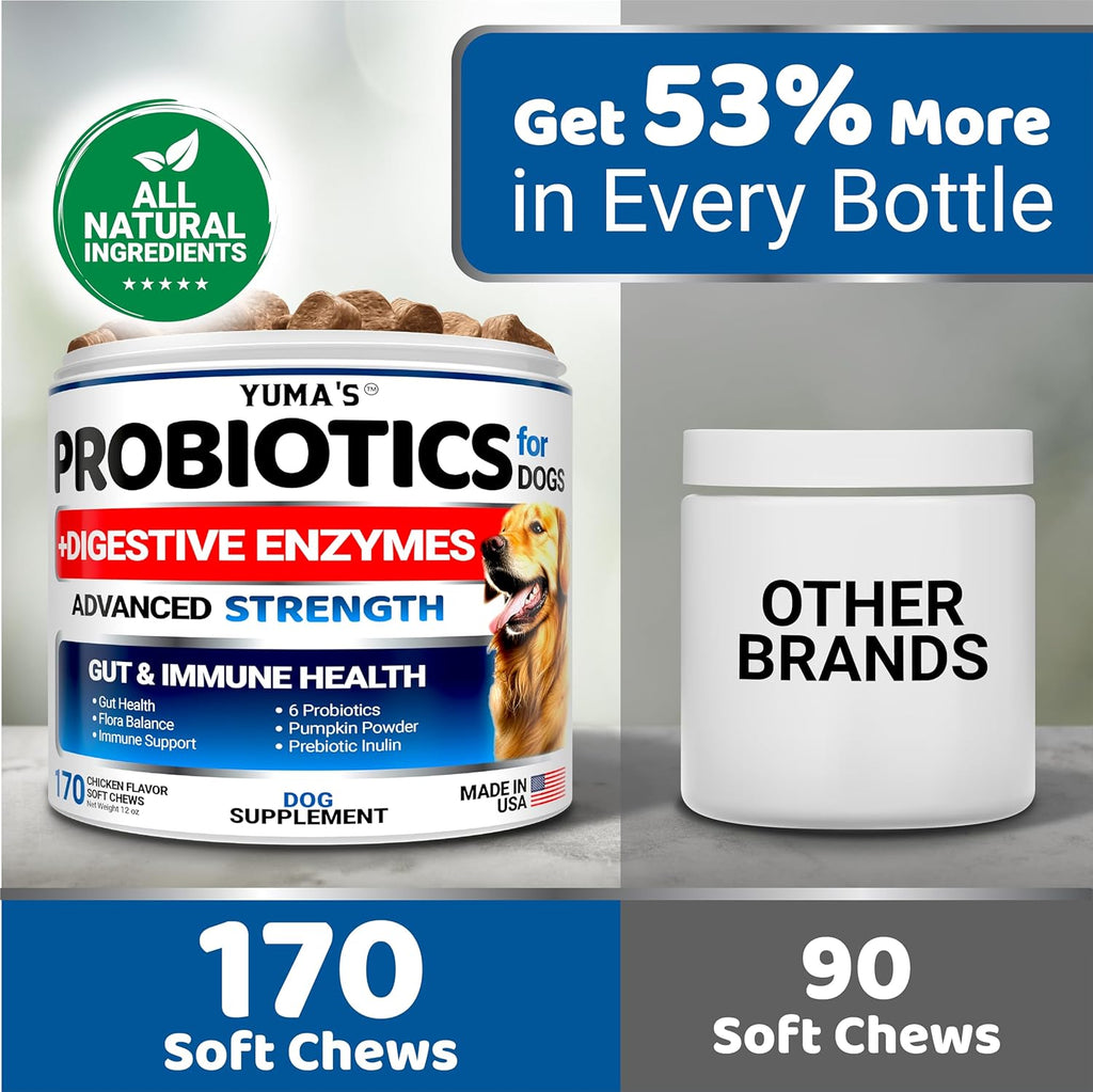 Probiotics & Digestive Enzymes Chews for Dogs