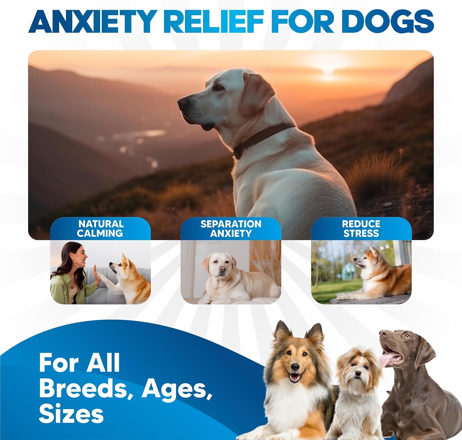 Dog Anxiety Relief Calming Liquid Supplement