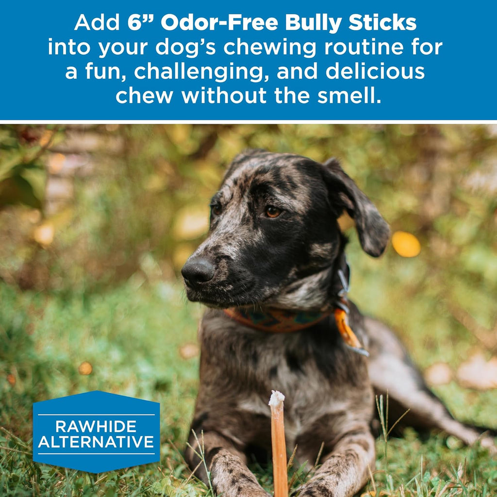 Best Bully Sticks 6-Inch Odor-Free Bully Sticks