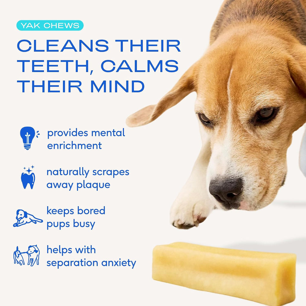 Native Pet Himalayan Yak Cheese Dog Chews