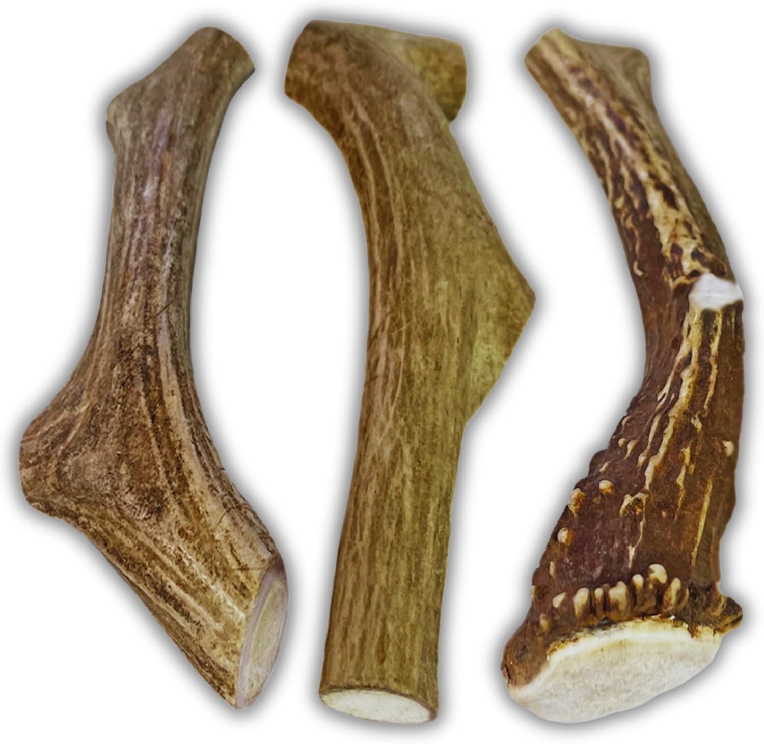 WhiteTail Naturals Deer Antlers for Large Dogs