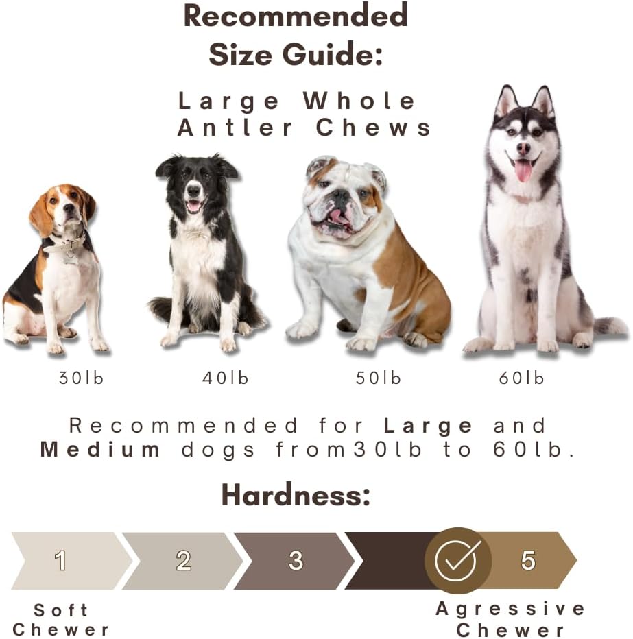WhiteTail Naturals Deer Antlers for Large Dogs
