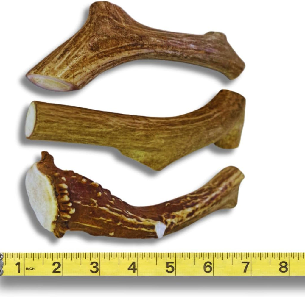 WhiteTail Naturals Deer Antlers for Large Dogs
