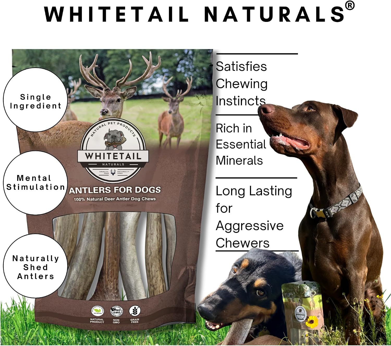 WhiteTail Naturals Deer Antlers for Large Dogs