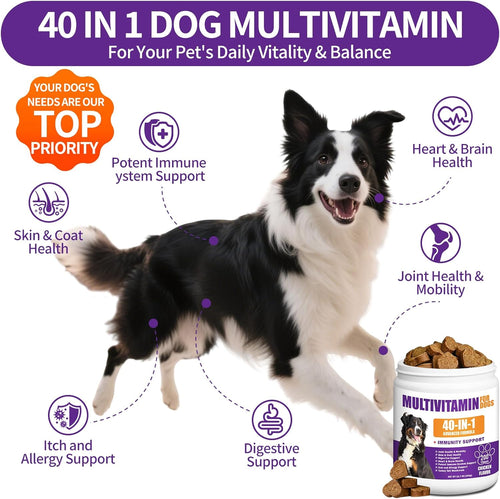 40-in-1 Dog Multivitamin Chews